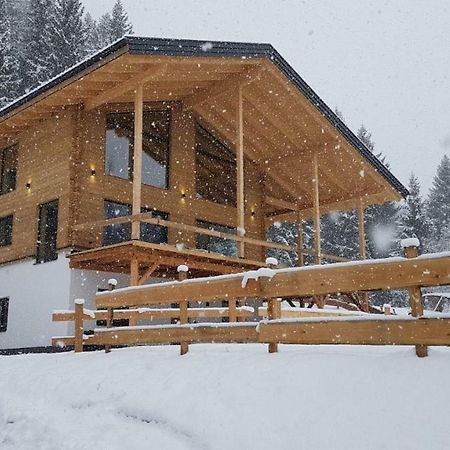 Schladminger Tauern Apartment Хаус-им-Энншталь Экстерьер фото