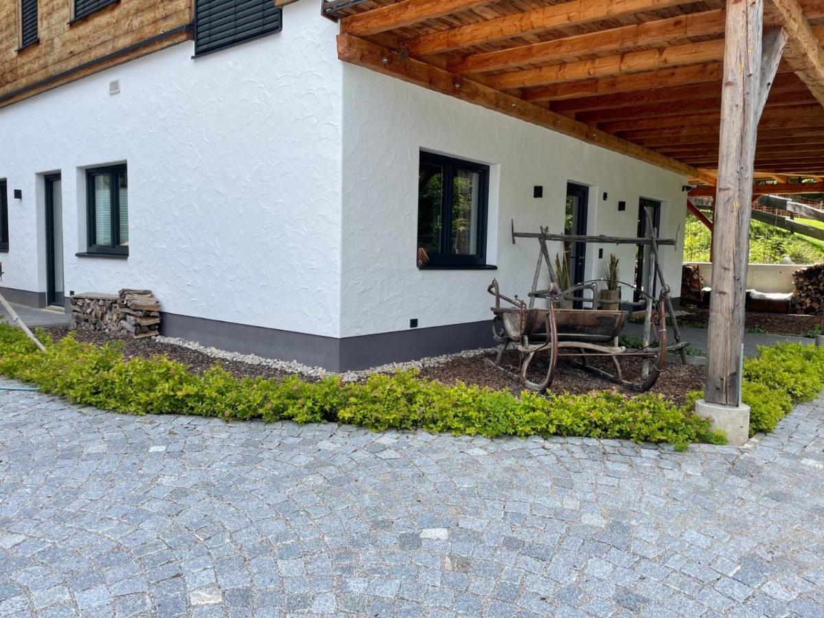 Schladminger Tauern Apartment Хаус-им-Энншталь Экстерьер фото