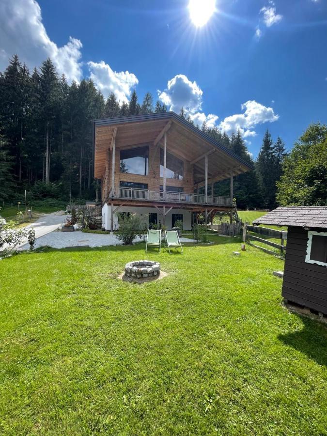 Schladminger Tauern Apartment Хаус-им-Энншталь Экстерьер фото