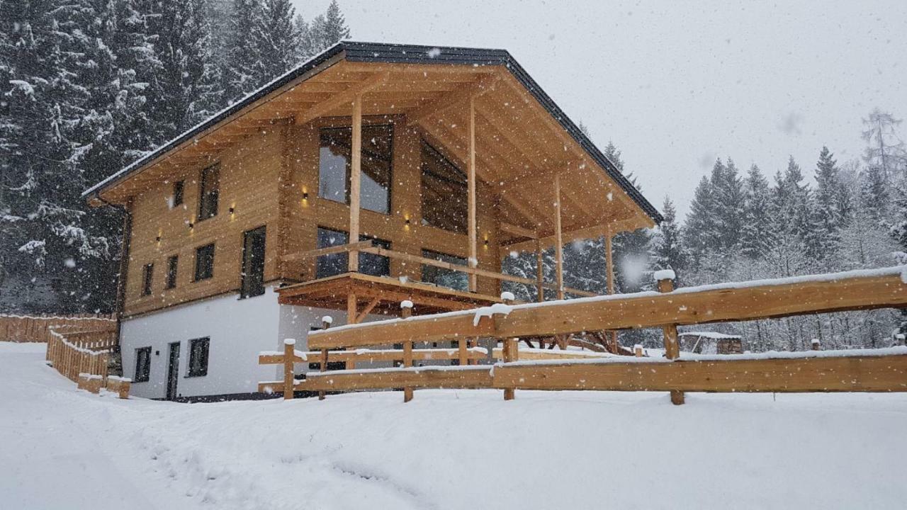 Schladminger Tauern Apartment Хаус-им-Энншталь Экстерьер фото