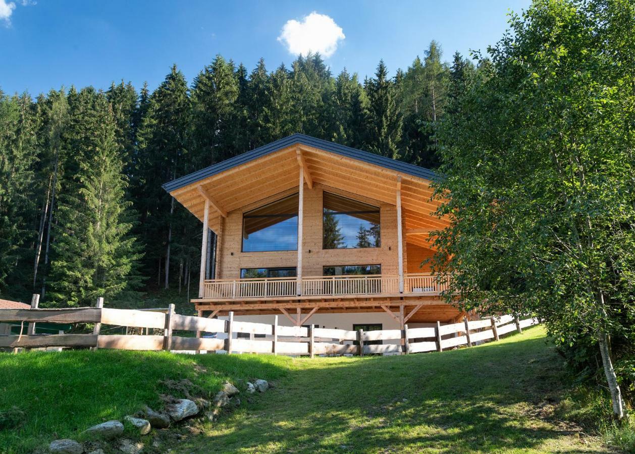 Schladminger Tauern Apartment Хаус-им-Энншталь Экстерьер фото