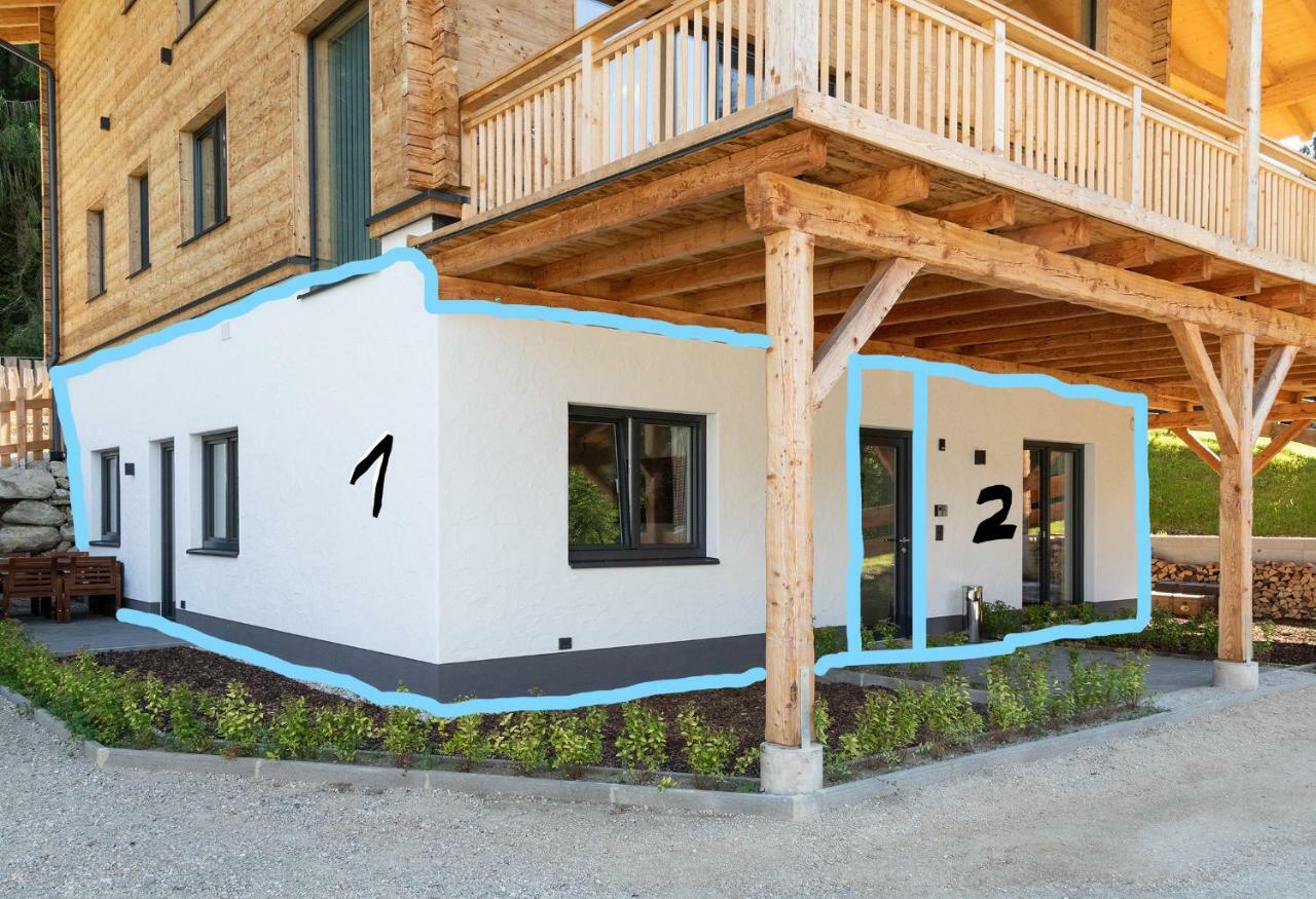 Schladminger Tauern Apartment Хаус-им-Энншталь Экстерьер фото